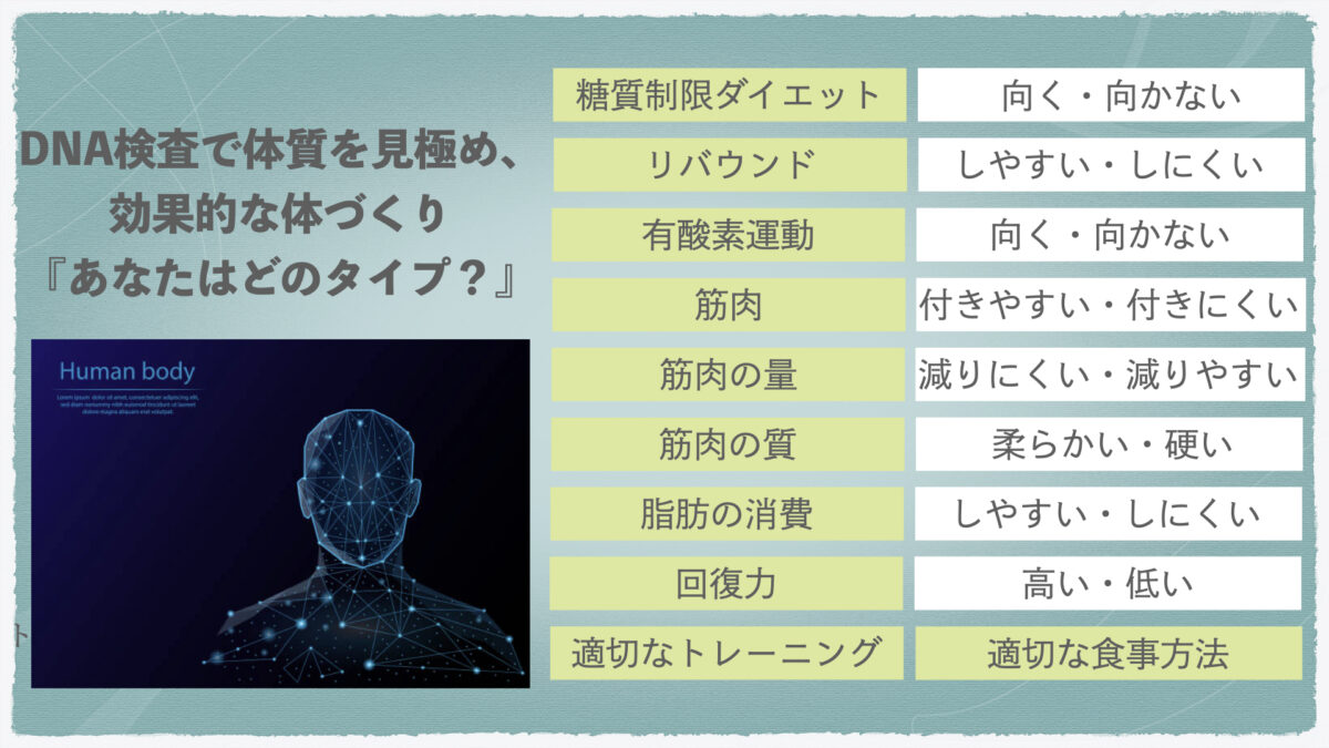 科学的根拠を基に一生変わらないダイエットプラン | PERSONAL GYM DELIGHT